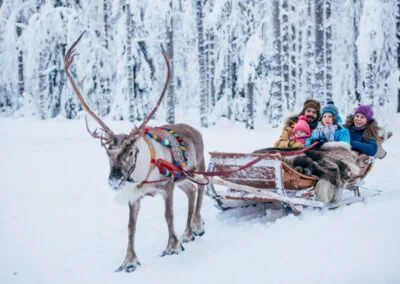 reindeer-farm-experience-5087533-400x284